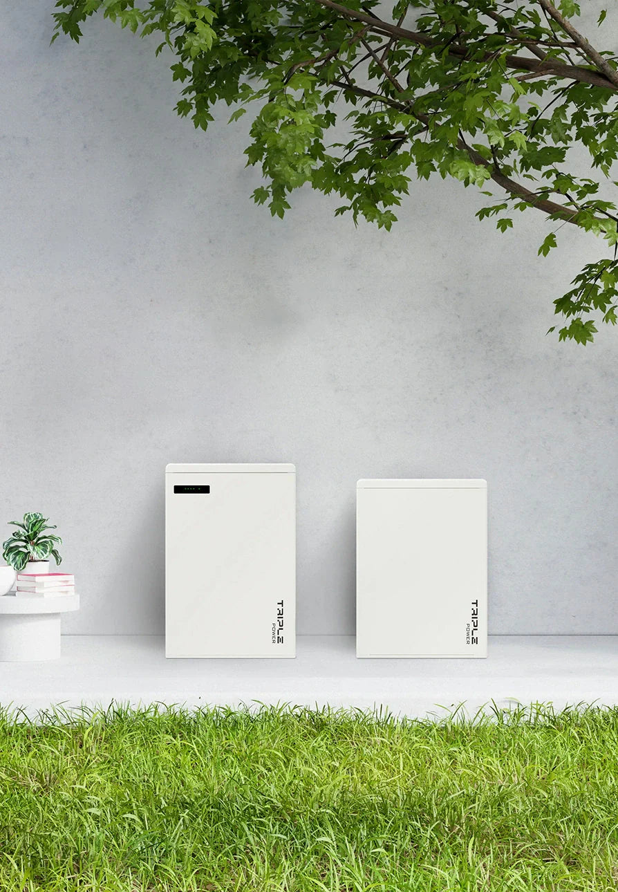 Thuisbatterijen: Wat zijn ze, hoe werken ze en wat kosten ze?