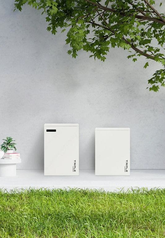 Thuisbatterijen: Wat zijn ze, hoe werken ze en wat kosten ze?