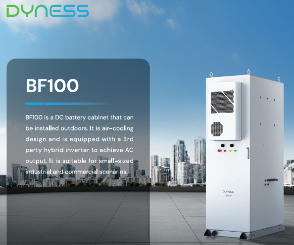 DYNESS BF100-C100 (100kWh)